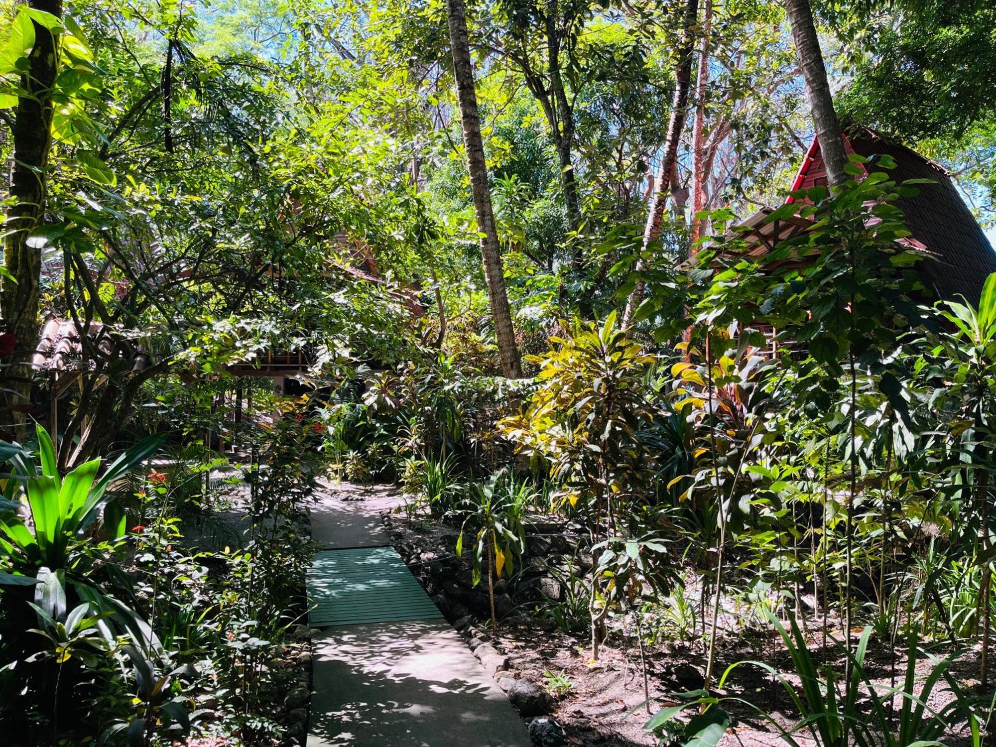 Calala Lodge Cabuya  Eksteriør bilde
