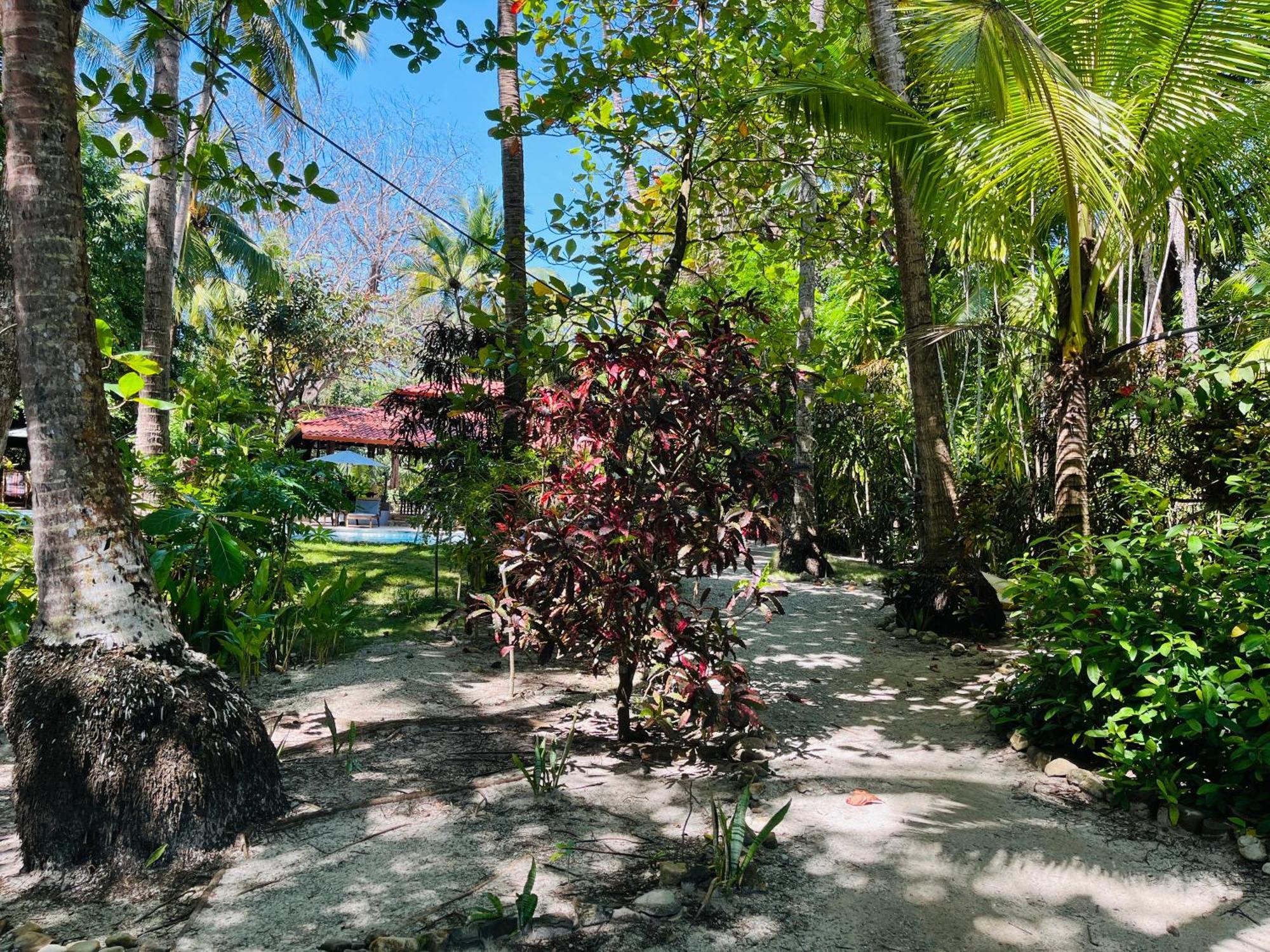 Calala Lodge Cabuya  Eksteriør bilde