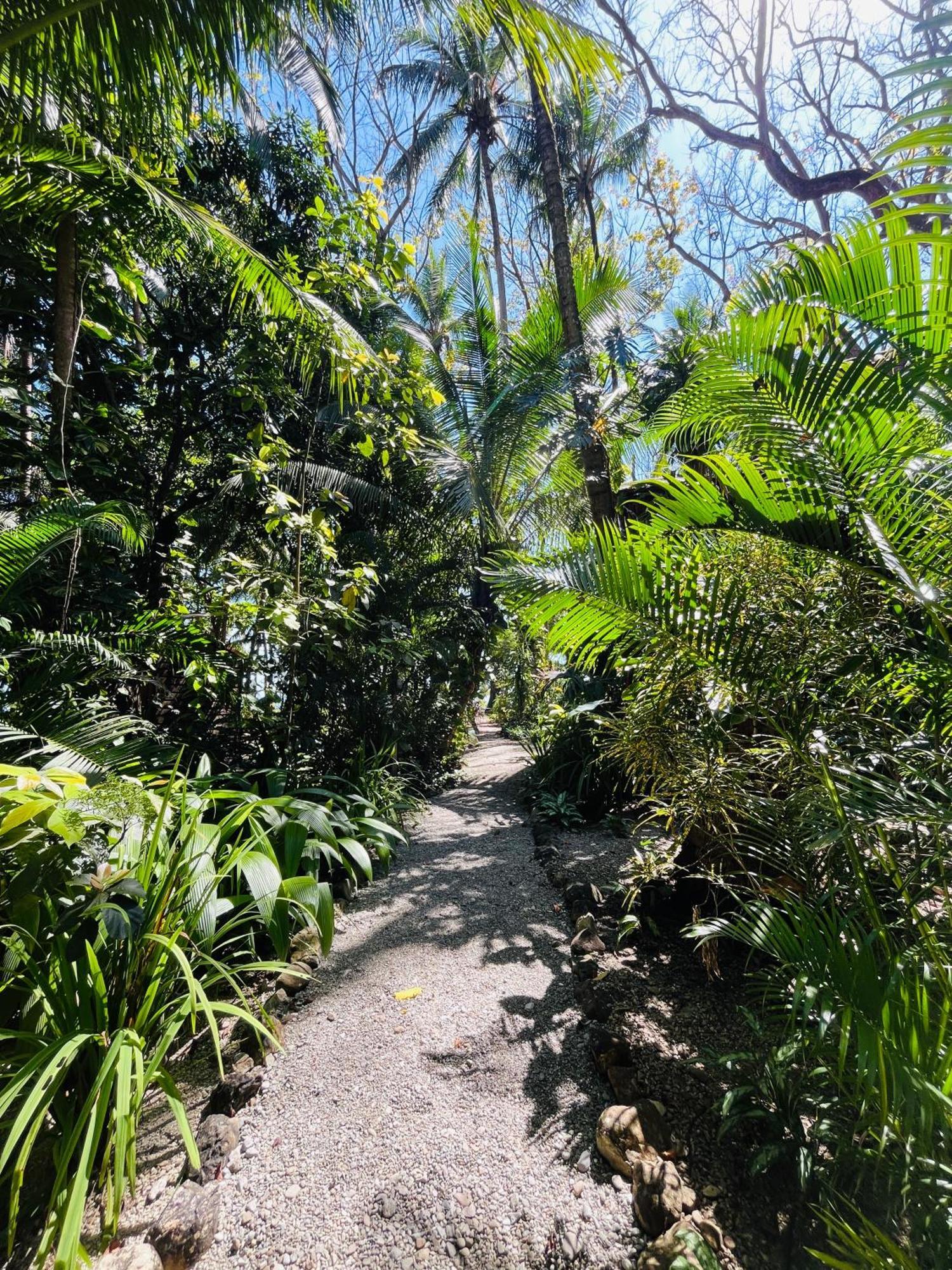 Calala Lodge Cabuya  Eksteriør bilde