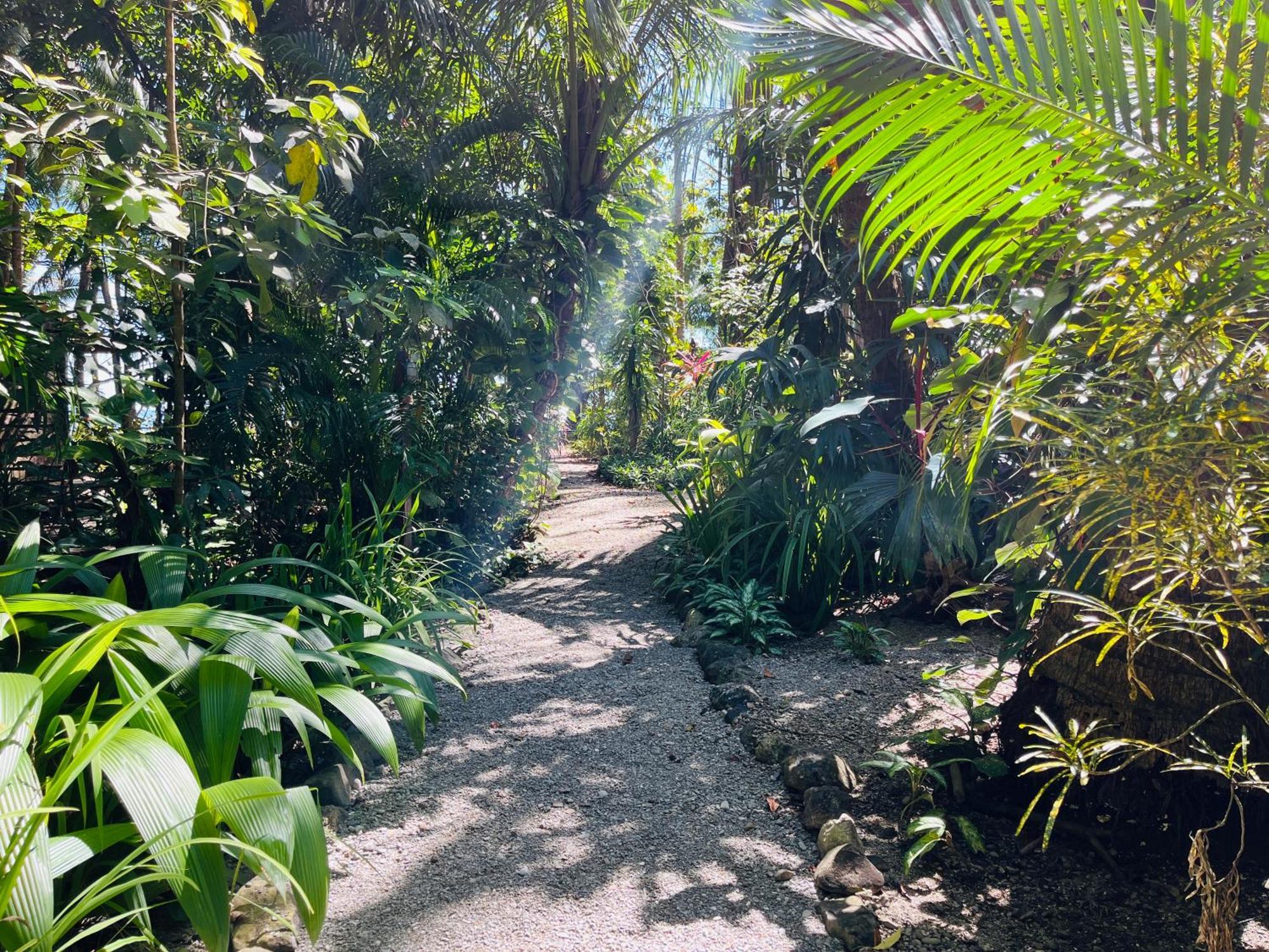 Calala Lodge Cabuya  Eksteriør bilde