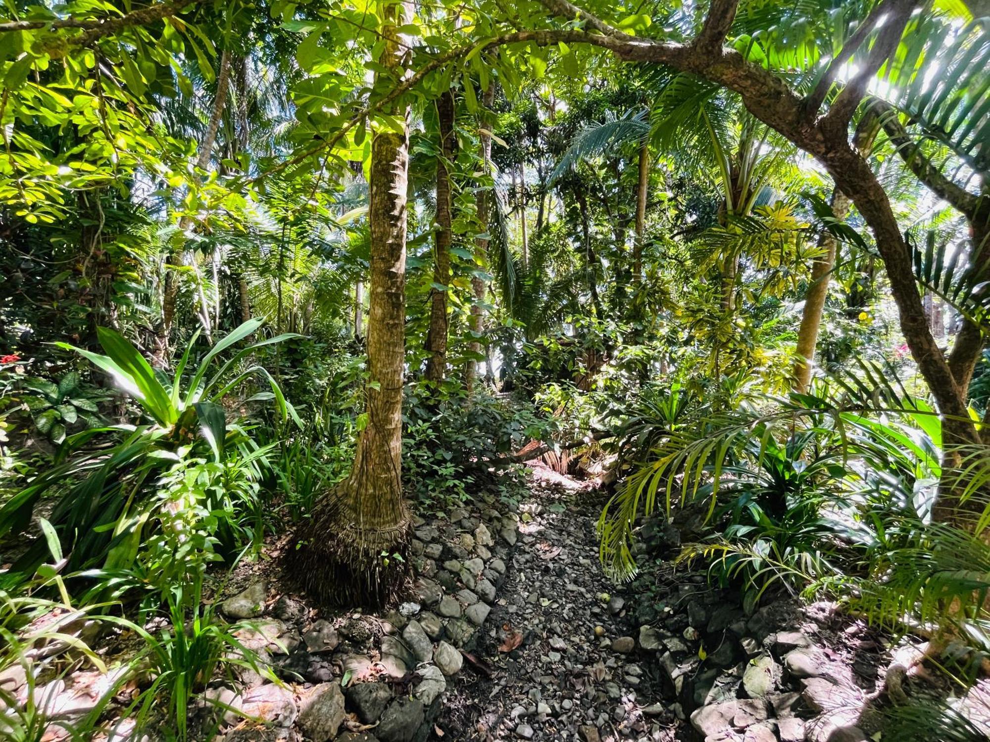 Calala Lodge Cabuya  Eksteriør bilde