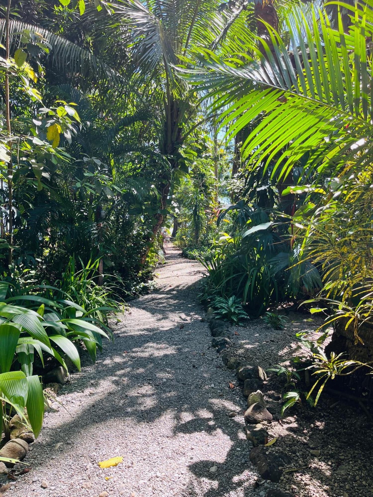 Calala Lodge Cabuya  Eksteriør bilde